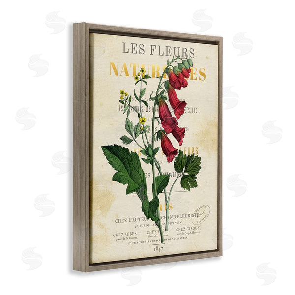 Stupell Industries Susan Arnot | Flower Over Aged French Page Wall Art