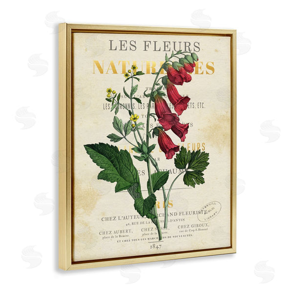 Stupell Industries Susan Arnot | Flower Over Aged French Page Wall Art