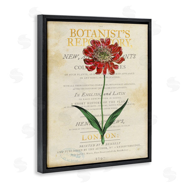 Stupell Industries Susan Arnot | Flower Over Vintage Page Wall Art