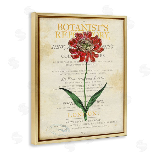 Stupell Industries Susan Arnot | Flower Over Vintage Page Wall Art