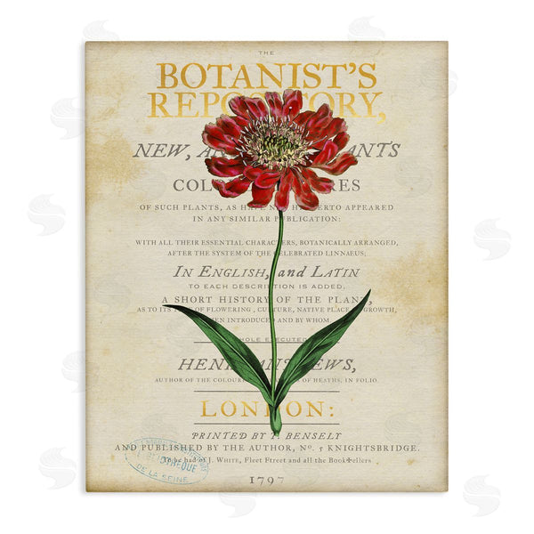 stupell industries Susan Arnot | Flower over Vintage Page Wall Art