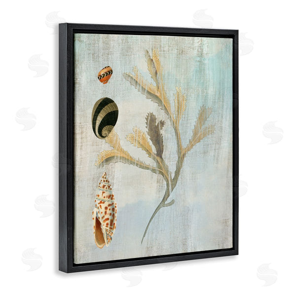Stupell Industries Susan Arnot | Mixed Seashells & Coral