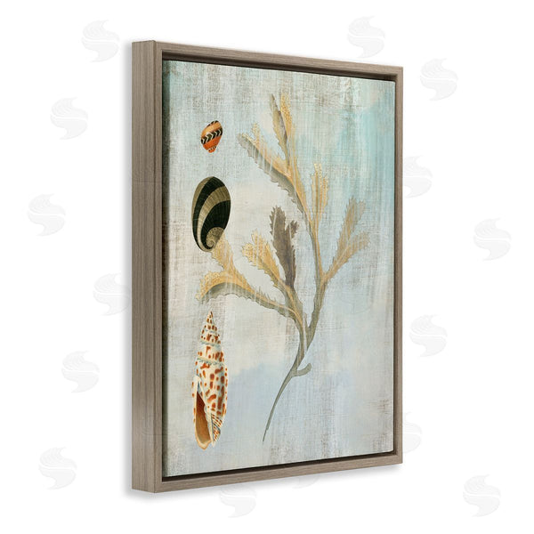 Stupell Industries Susan Arnot | Mixed Seashells & Coral