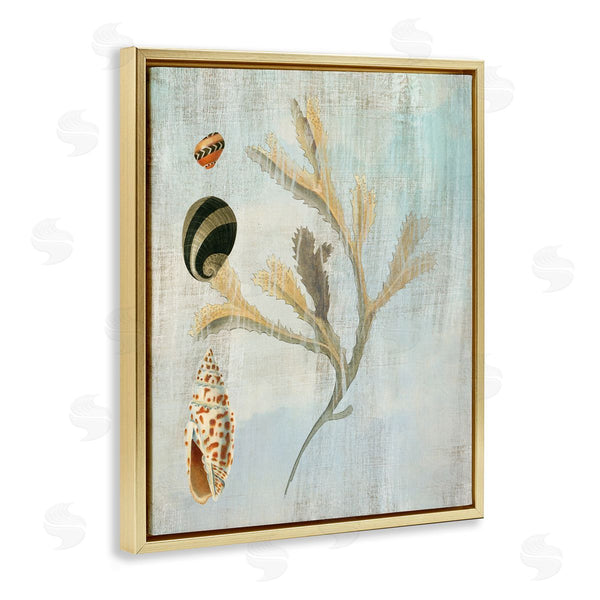 Stupell Industries Susan Arnot | Mixed Seashells & Coral