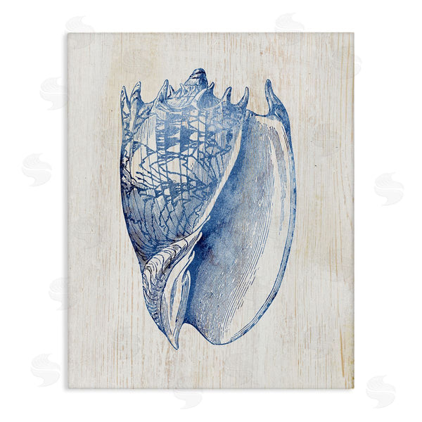 stupell industries Susan Arnot | Nautical Soft Blue Conch Wall Art