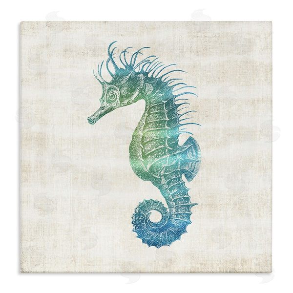 stupell industries Susan Arnot | Ombre Seahorse Expression