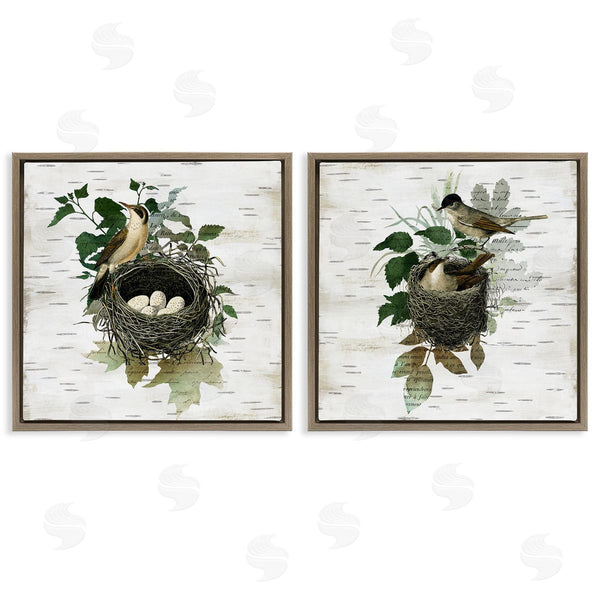 Stupell Industries Susan Arnot | Rustic Vintage Bird Nests