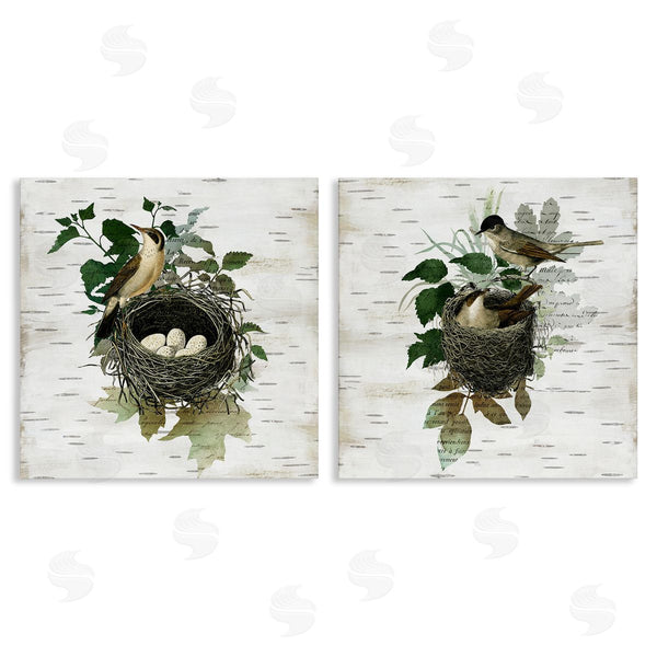 stupell industries Susan Arnot | Rustic Vintage Bird Nests