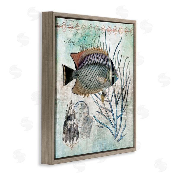 Stupell Industries Susan Arnot | Sea Life With Vintage Accents