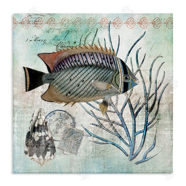 stupell industries Susan Arnot | Sea Life with Vintage Accents