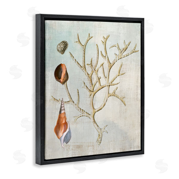 Stupell Industries Susan Arnot | Seashells And Coral Branch