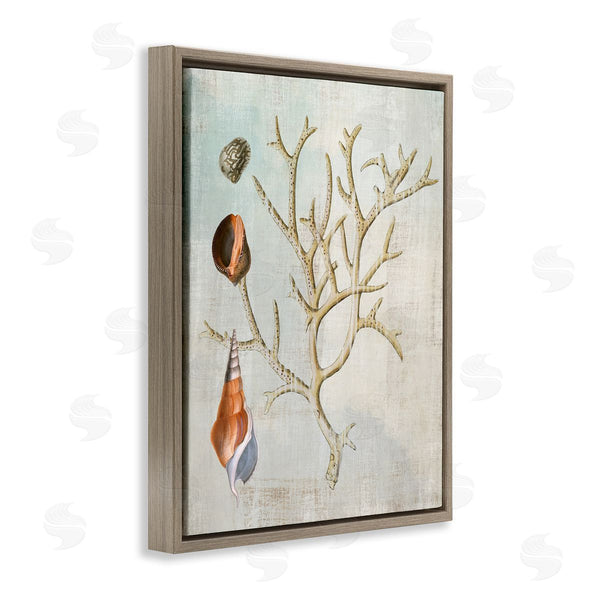 Stupell Industries Susan Arnot | Seashells And Coral Branch