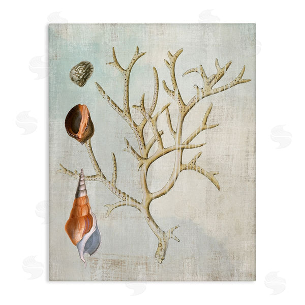 stupell industries Susan Arnot | Seashells and Coral Branch