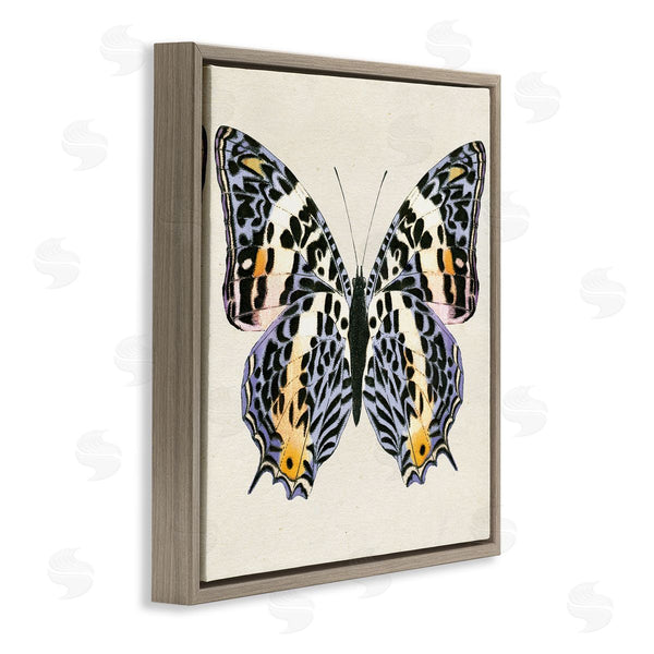 Stupell Industries Susan Arnot | Speckled Butterfly Sketch