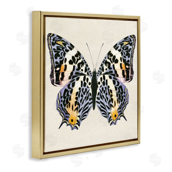 Stupell Industries Susan Arnot | Speckled Butterfly Sketch