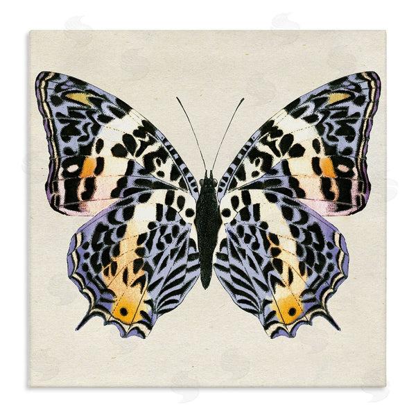 stupell industries Susan Arnot | Speckled Butterfly Sketch