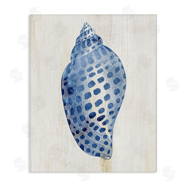 stupell industries Susan Arnot | Spotted Blue Cowrie Shell