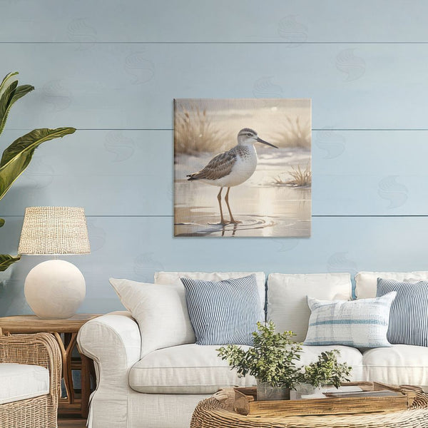 Stupell Industries Susan Arnot | Sunlit Sandpiper In Shallow Water