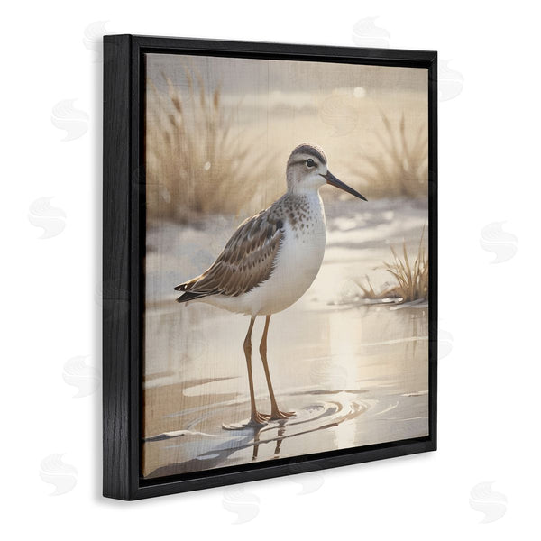 Stupell Industries Susan Arnot | Sunlit Sandpiper In Shallow Water