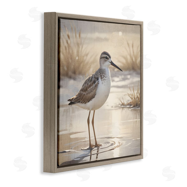 Stupell Industries Susan Arnot | Sunlit Sandpiper In Shallow Water