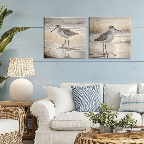 Stupell Industries Susan Arnot | Sunlit Sandpipers Wading Shore