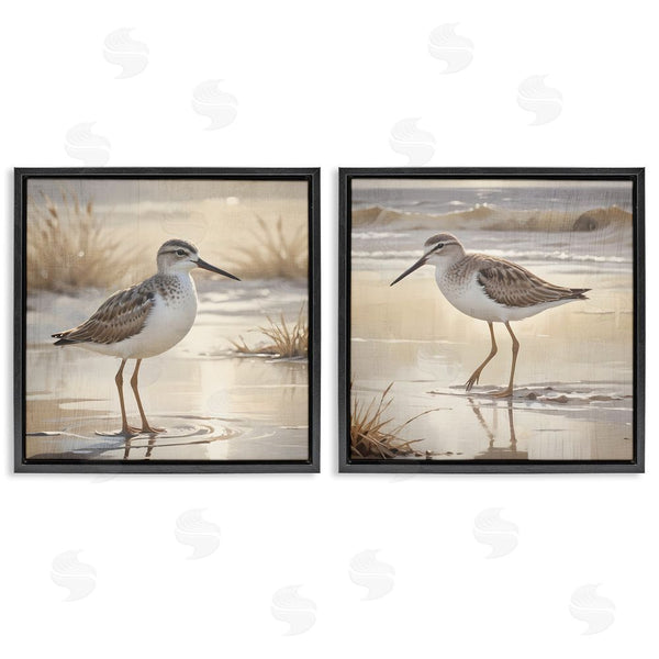 Stupell Industries Susan Arnot | Sunlit Sandpipers Wading Shore