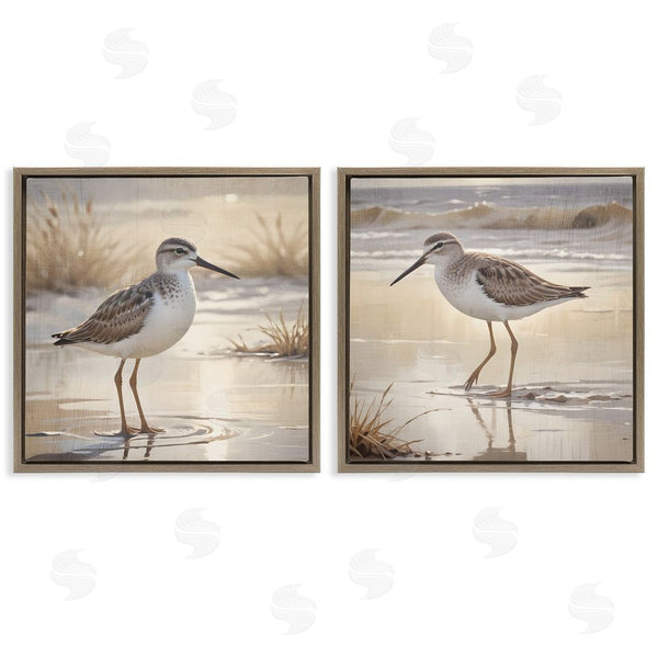 Stupell Industries Susan Arnot | Sunlit Sandpipers Wading Shore