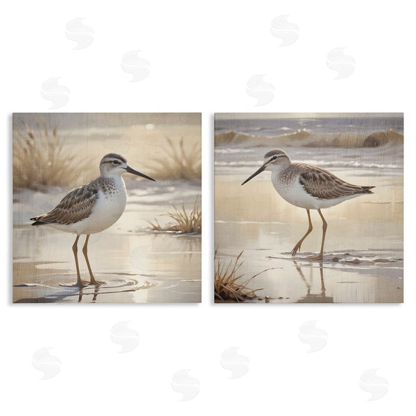 stupell industries Susan Arnot | Sunlit Sandpipers Wading Shore