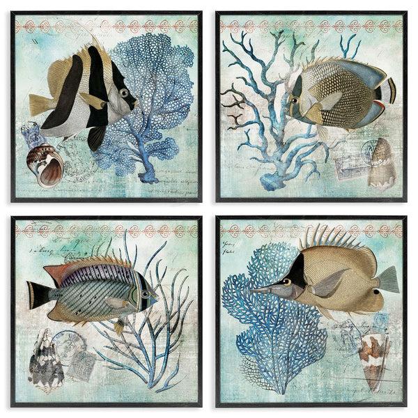 Stupell Industries Susan Arnot | Tropical Fish & Coral Collages Wall Art