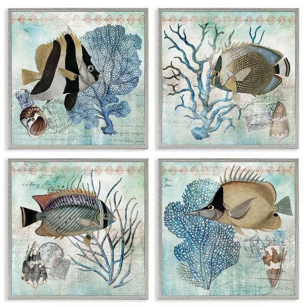 Stupell Industries Susan Arnot | Tropical Fish & Coral Collages Wall Art