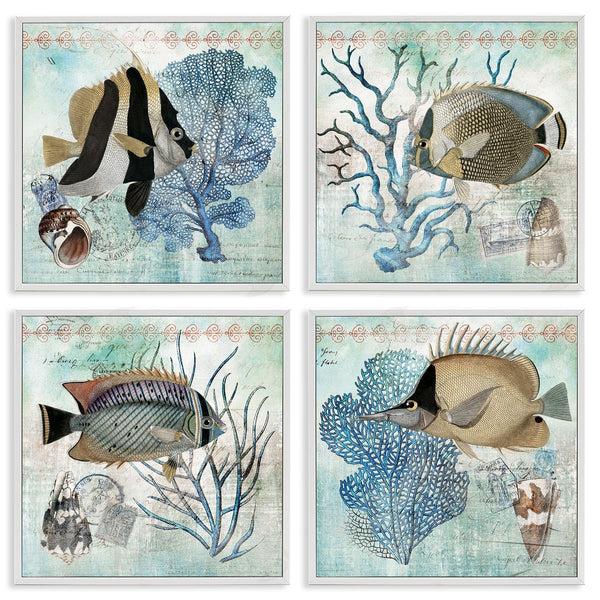 Stupell Industries Susan Arnot | Tropical Fish & Coral Collages Wall Art