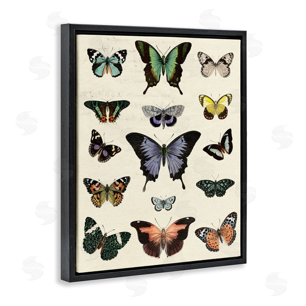 Stupell Industries Susan Arnot | Varied Vintage Butterflies