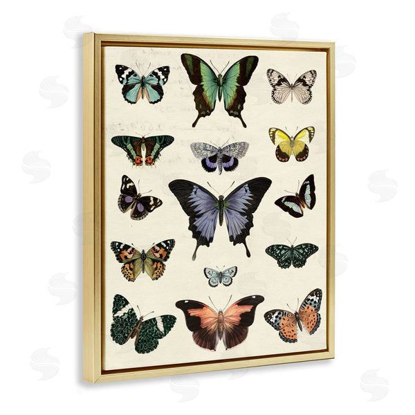 Stupell Industries Susan Arnot | Varied Vintage Butterflies
