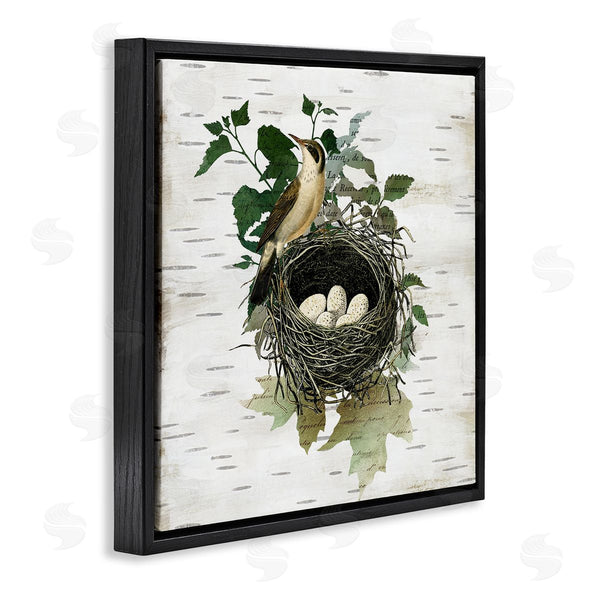 Stupell Industries Susan Arnot | Vintage Bird Nest & Flora