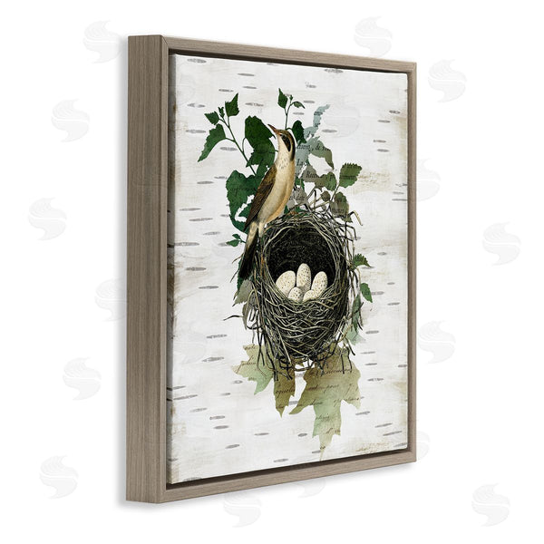 Stupell Industries Susan Arnot | Vintage Bird Nest & Flora