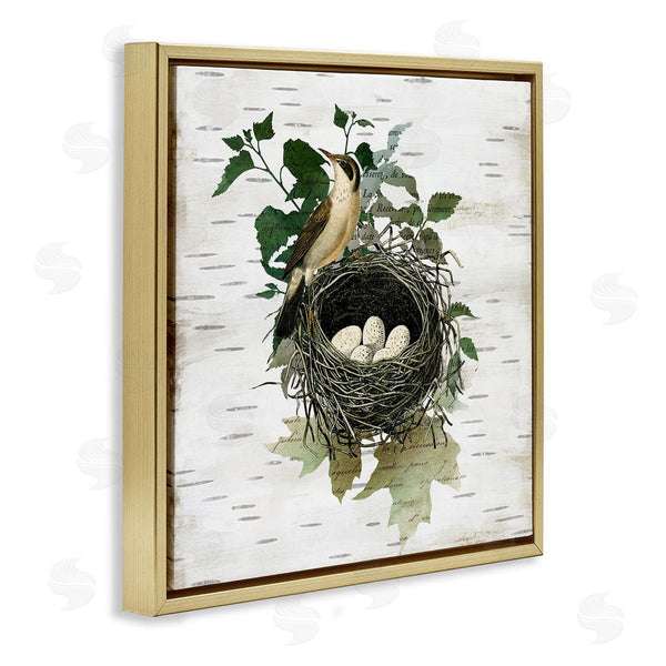 Stupell Industries Susan Arnot | Vintage Bird Nest & Flora