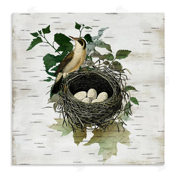 stupell industries Susan Arnot | Vintage Bird Nest & Flora
