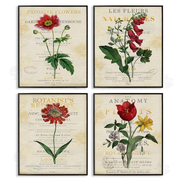 Stupell Industries Susan Arnot | Vintage Flowers Over Antique Pages Wall Art