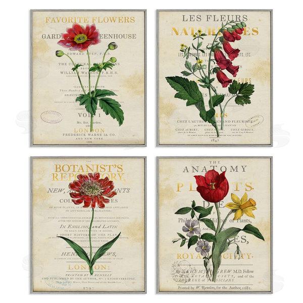 Stupell Industries Susan Arnot | Vintage Flowers Over Antique Pages Wall Art
