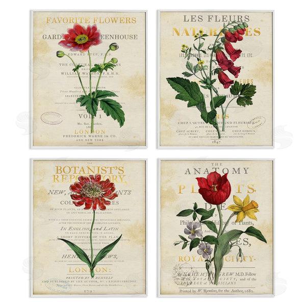 Stupell Industries Susan Arnot | Vintage Flowers Over Antique Pages Wall Art