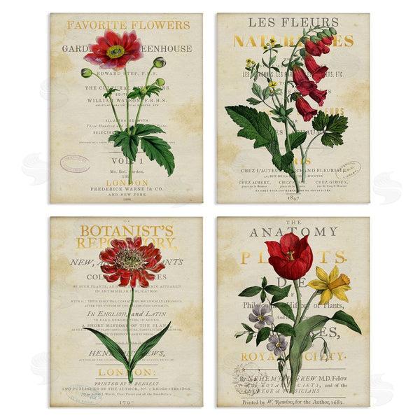 stupell industries Susan Arnot | Vintage Flowers over Antique Pages Wall Art