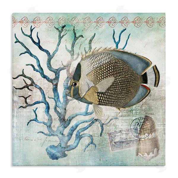 stupell industries Susan Arnot | Vintage Post & Aquatic Life