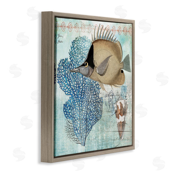 Stupell Industries Susan Arnot | Vintage Style Sea Life