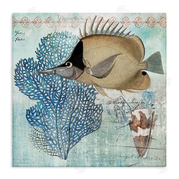 stupell industries Susan Arnot | Vintage Style Sea Life