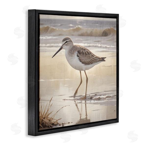 Stupell Industries Susan Arnot | Wading Beach Sandpiper