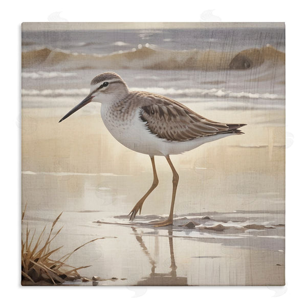 stupell industries Susan Arnot | Wading Beach Sandpiper