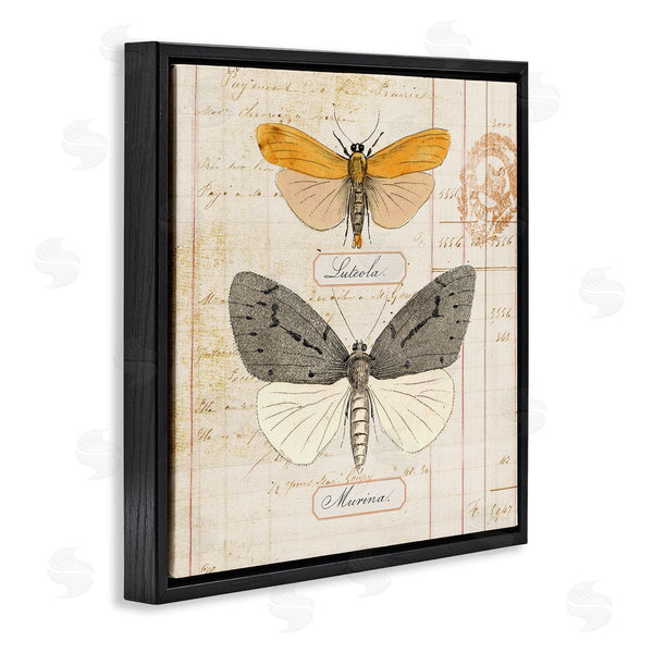 Stupell Industries Susan Arnot | Yellow & Grey Butterflies