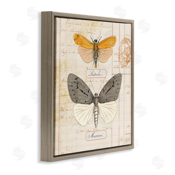 Stupell Industries Susan Arnot | Yellow & Grey Butterflies