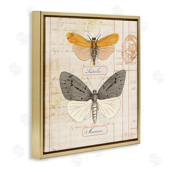 Stupell Industries Susan Arnot | Yellow & Grey Butterflies