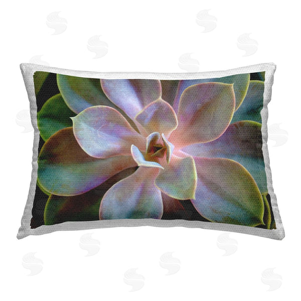 Stupell Industries Susan Bryant | Blooming Succulent Leaves